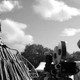 photo du film Mank