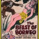 photo du film Beast of Borneo