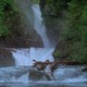 photo du film Alaska : Spirit of the Wild