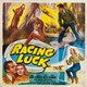 photo du film Racing Luck