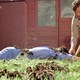photo du film L'Horrible invasion