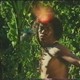 photo du film Horror Safari