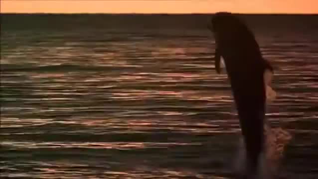 Extrait vidéo du film  Zeus and Roxanne