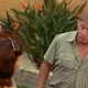 photo du film Crackers