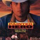 photo du film Painted Hero