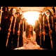 photo du film Ninfa plebea