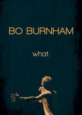 voir la fiche complète du film : Bo Burnham : what.