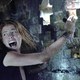 photo du film Crawl