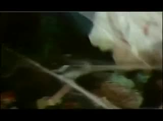 Un extrait du film  The Burning Moon