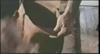 Extrait vidéo du film  Voodoo Dawn