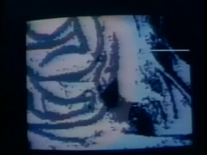 Extrait vidéo du film  Metamorphosis