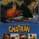 photo du film Les Aventures de Chatran