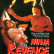 photo du film Ninja Vengeance
