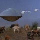 photo du film Le Vol du Navigator