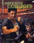 voir la fiche complète du film : Eastern Condors