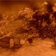 photo du film Quand souffle le vent