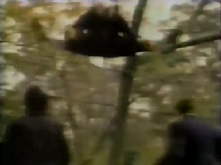 Un extrait du film  Prière pour un tueur