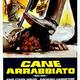 photo du film Cane arrabbiato