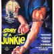 photo du film Story of a Junkie