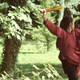 photo du film Koan de printemps