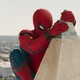 photo du film Spider-Man : Homecoming