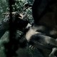 photo du film Kyôryuu : Kaichô no densetsu