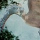 photo du film Kyôryuu : Kaichô no densetsu