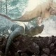 photo du film Kyôryuu : Kaichô no densetsu