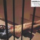 photo du film La Casa con la scala nel buio