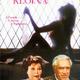 photo du film Regina Roma