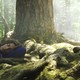 photo du film Un monde plus grand