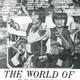 photo du film World of the Drunken Master