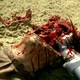 photo du film Anthropophage Holocaust