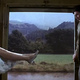 photo du film Une femme disparaît