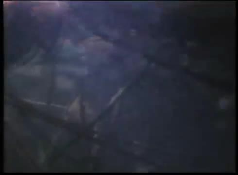Extrait vidéo du film  Bog