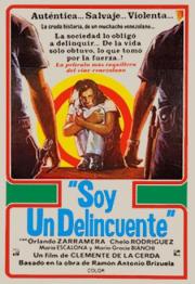 Soy un delincuente