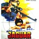 photo du film Opération casseurs
