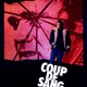 photo du film Coup de sang
