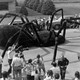 photo du film L'Invasion des araignées géantes
