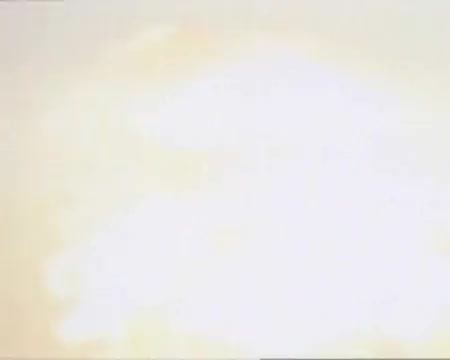 Extrait vidéo du film  Apocalypse 2024