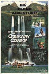 voir la fiche complète du film : Un Cow-Boy à Hawaï