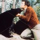 photo du film The Bears and I