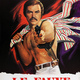 photo du film Shamus