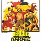 photo du film Hercule contre karaté