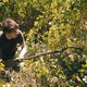 photo du film Journal d'un disparu