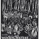 photo du film Woods & Waters