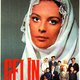 photo du film Gelin