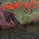 photo du film François et le chemin du soleil