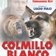 photo du film Croc-Blanc