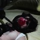 photo du film The Gore Gore Girls